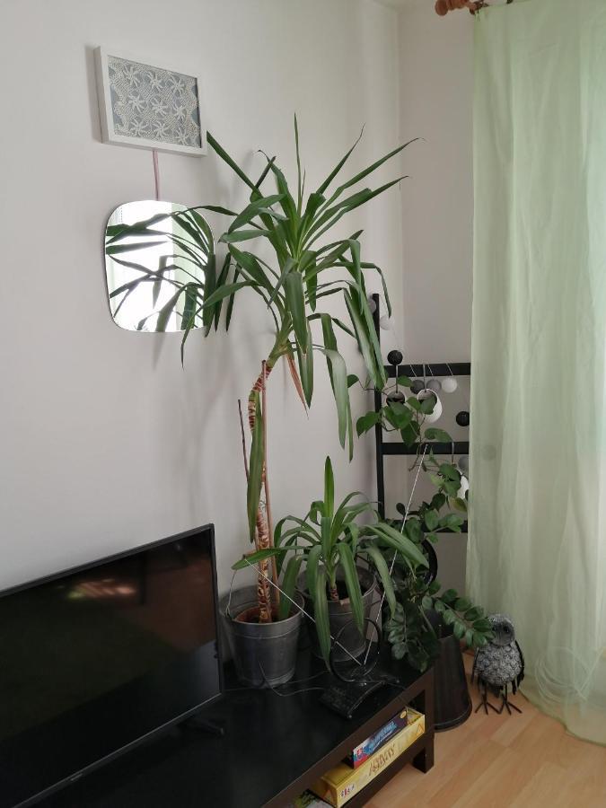 Emma Apartment Nova Lesna Ngoại thất bức ảnh